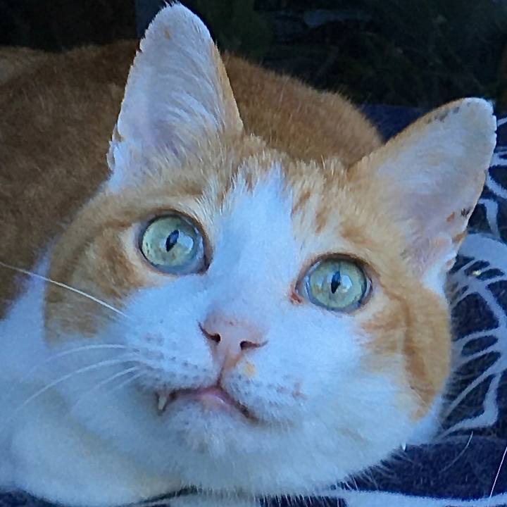 52cfd447 0c2c 465d b826 76c907fd877e 1592282600829