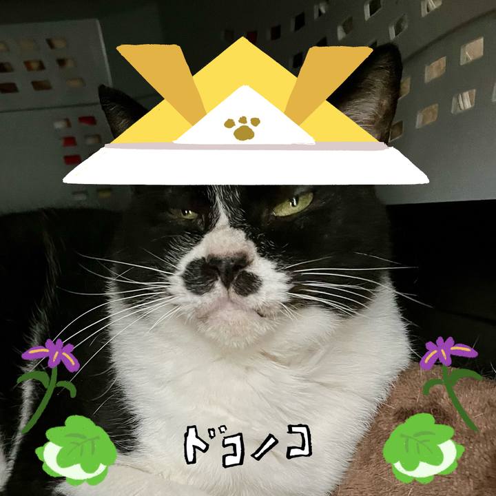 52cfda3b 5fda 438c 9392 3fe9a808dc58 1714953779662