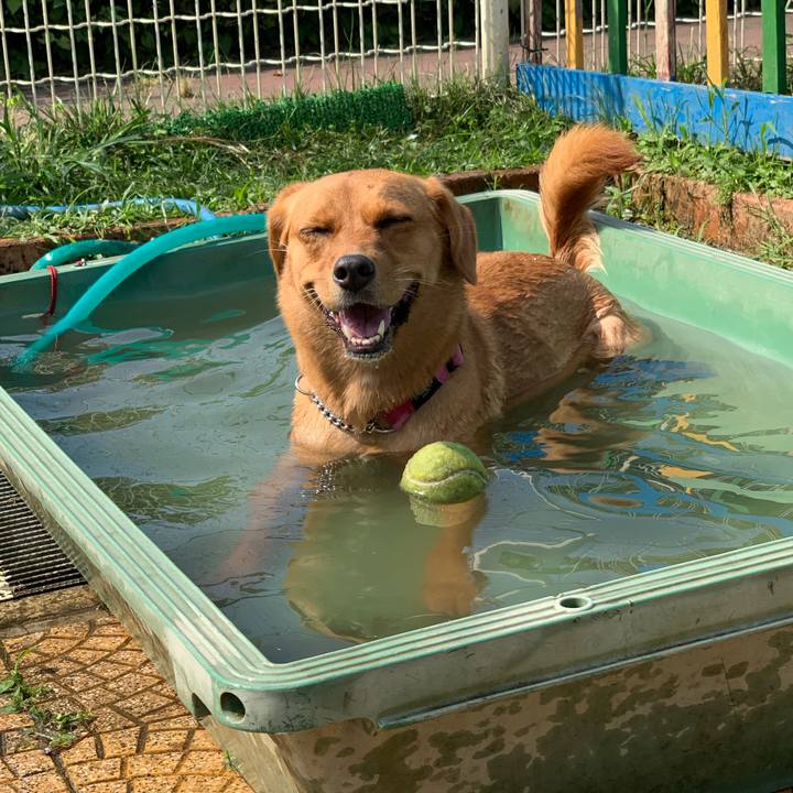 52cffcbe 0631 4a4b abd8 6b312d929637 1566735559585