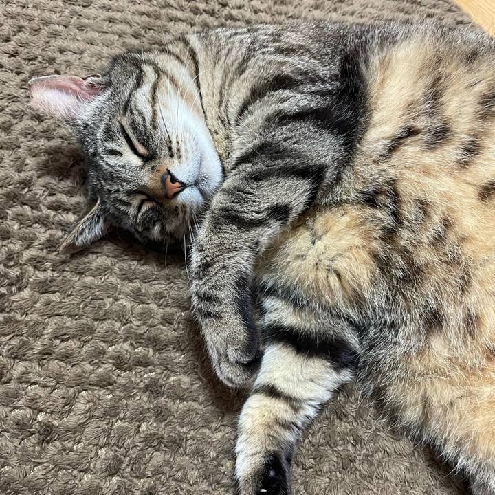 52cffdae 0951 4c90 9634 114c5878b0f4 1622090114068