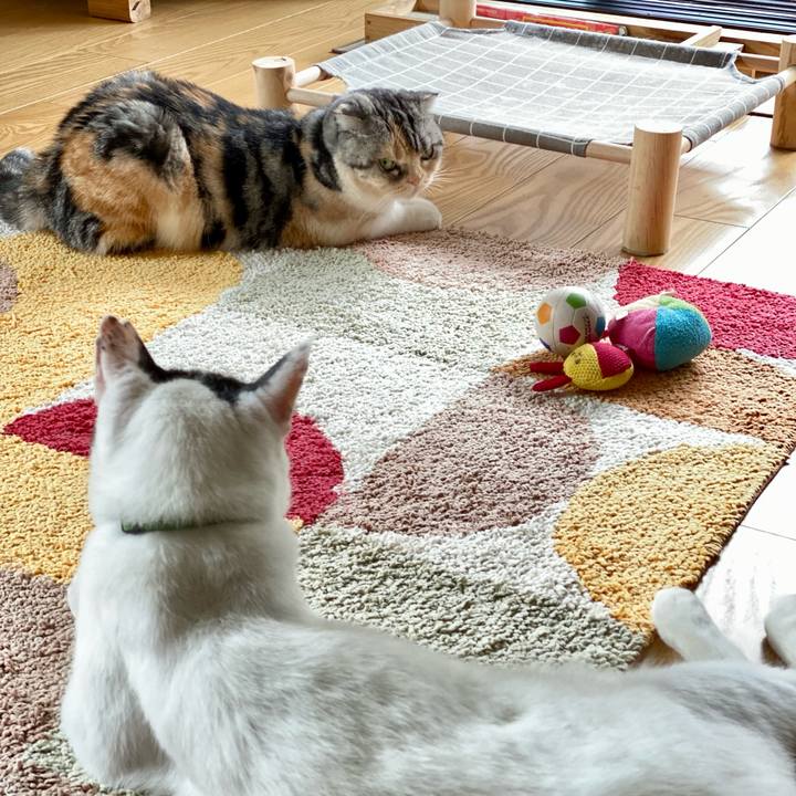 52d001a2 d64f 4256 ac2a 96816bd24909 1661567151670