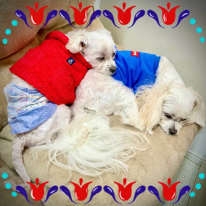 52d026b0 285f 4f7b a3d8 b39dce9d1b4d 1639970580332