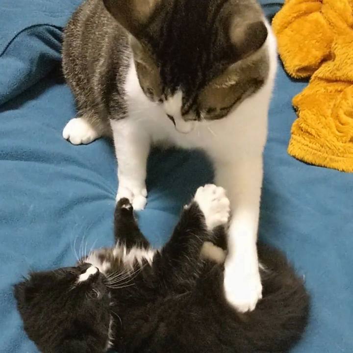 52d02e88 e61a 429e 906e 1113ccf90a34 1639052879957