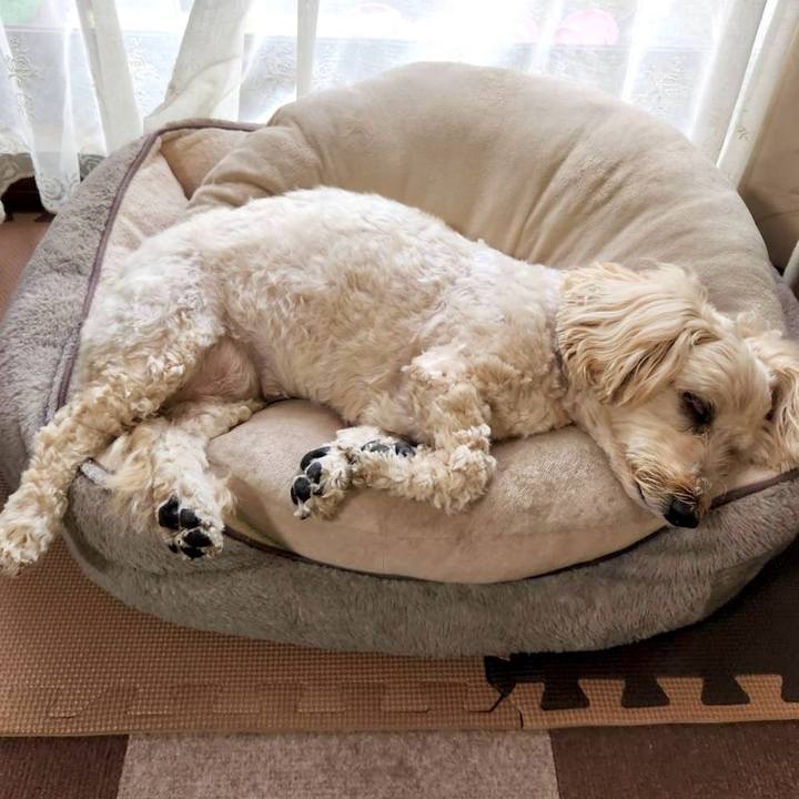 52d04751 1659 4712 a348 efed0049ccdf 1764050691730