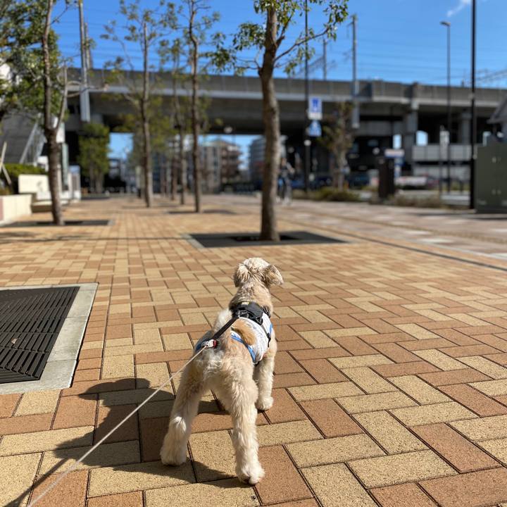 52d04b97 8f38 4558 8e31 d6da061e8f15 1572841008693