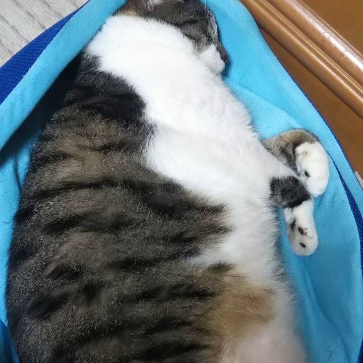 52d0618a 2625 425c 9de5 cc5ce206501e 1627813987609