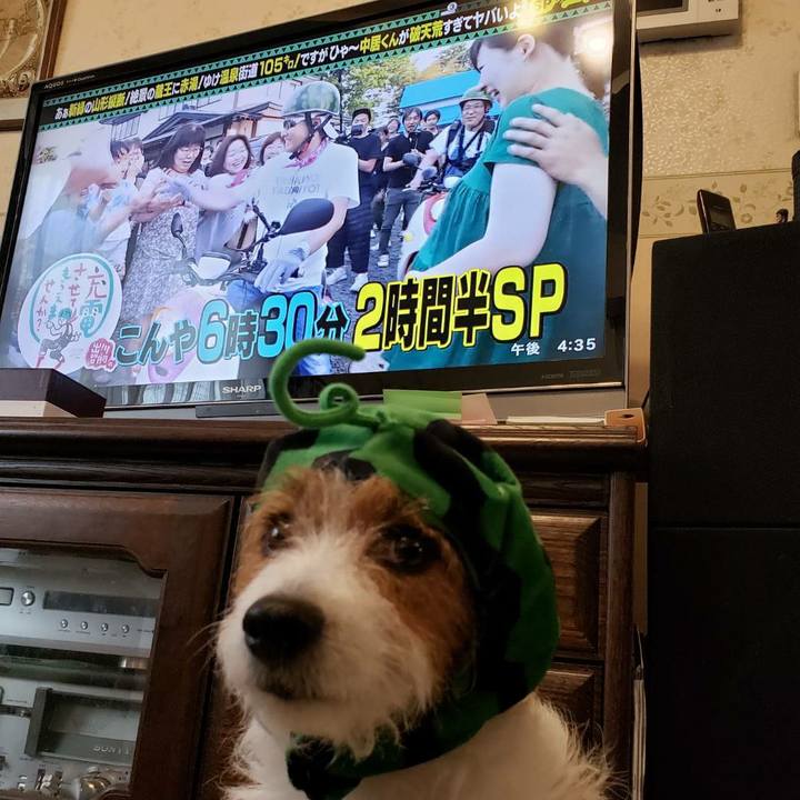 52d065d9 9499 4728 b081 6fde3832d701 1563609609773