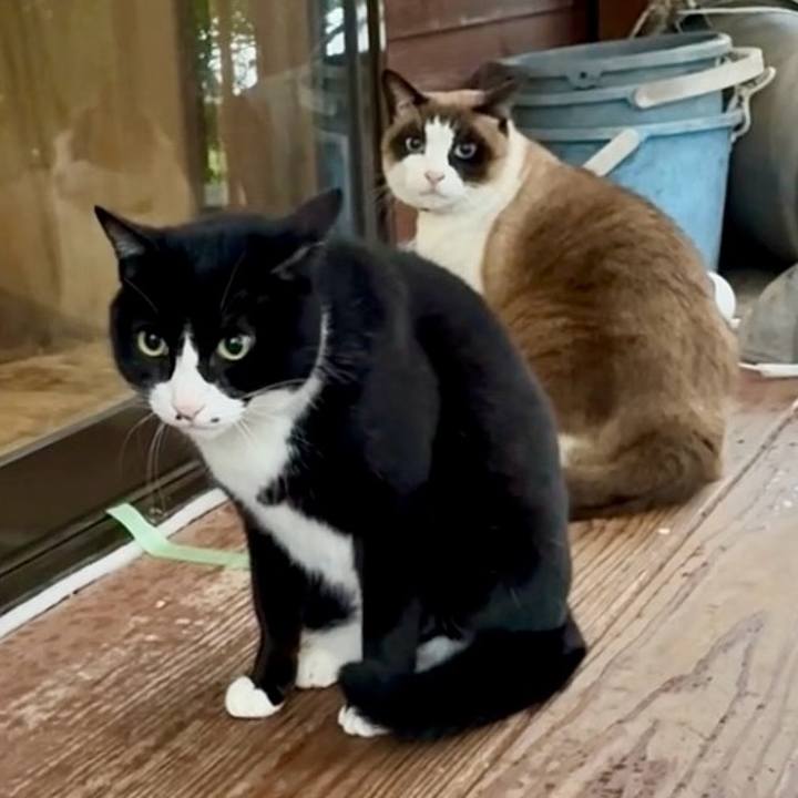 52d08024 9cc8 4737 9496 1cc7b9f37f58 1773840699029