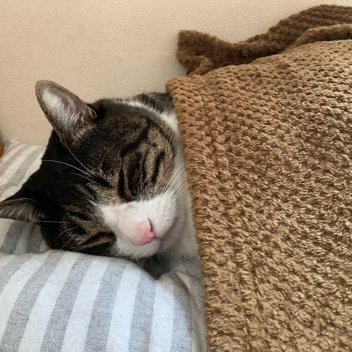 52d0805c 65c4 484e bdd3 2a864ff6b617 1574568995584