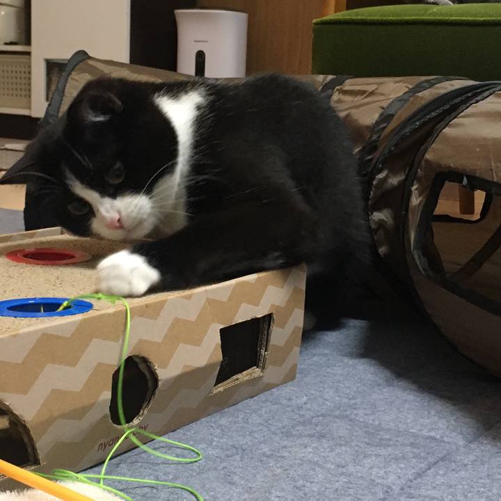 52d08316 02cf 4392 947f c6fa5ab54071 1594119116545