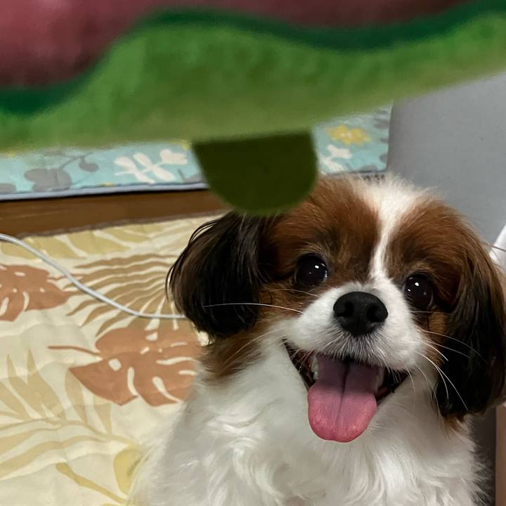 52d08a7c c5f9 4300 aff3 2991b14aadf5 1754655059750