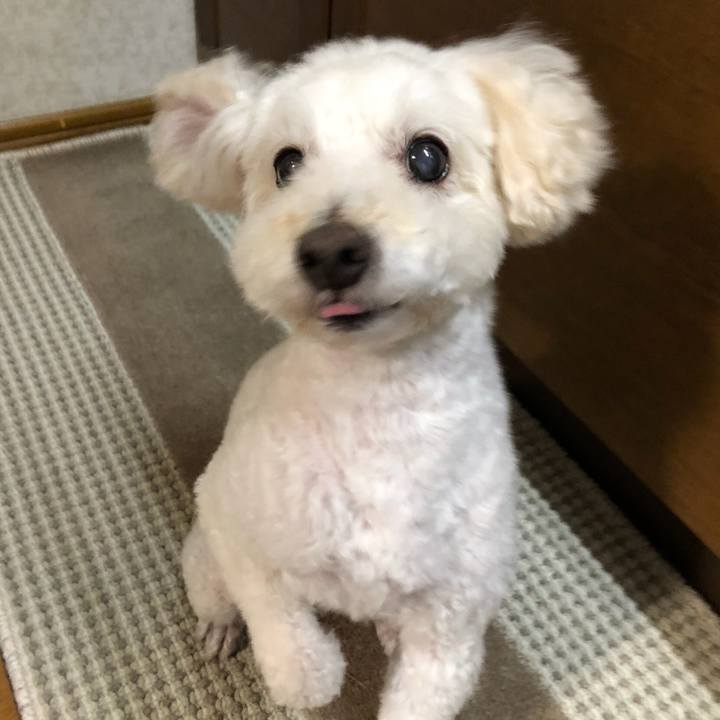 52d0b083 03d6 46a8 8764 196991b7818b 1536387327076