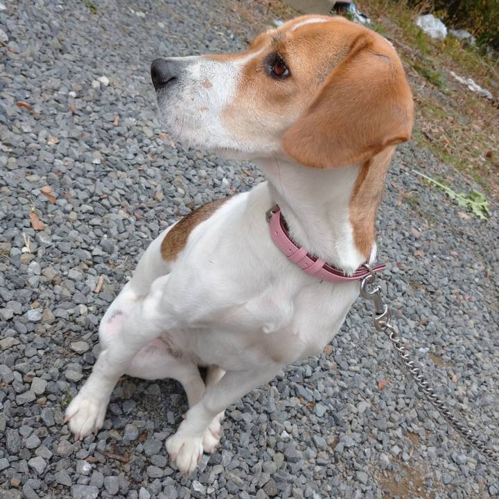 52d10458 15b6 4d5c ac5c 3f1db808d26f 1577083676829