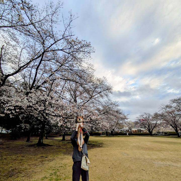 52d1090c ee2b 4ea0 800d 96a4ee38fc95 1743688570562