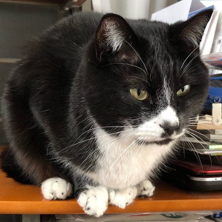 52d110d1 f76f 41e1 a6a1 b810f4f12ebe 1614829962811