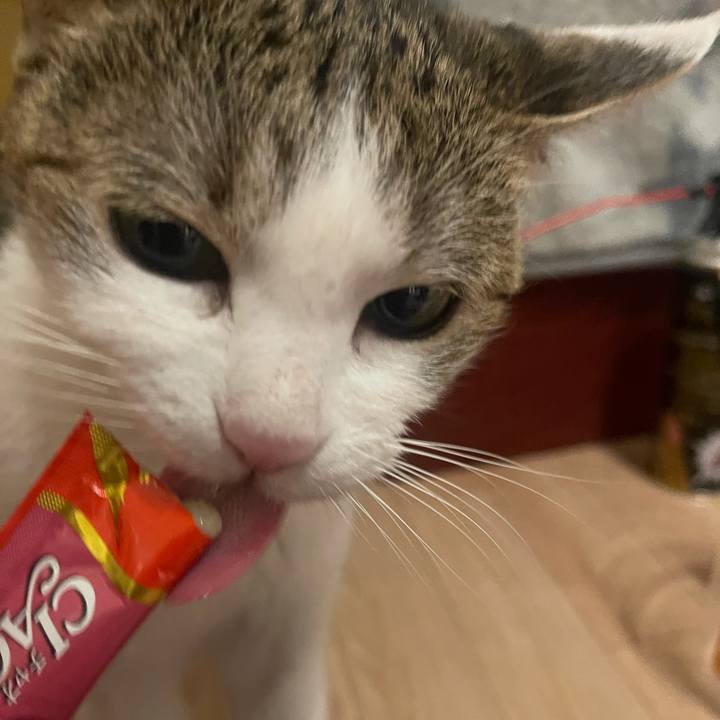 52d11248 7217 490e b89e ea803e518181 1634805556603