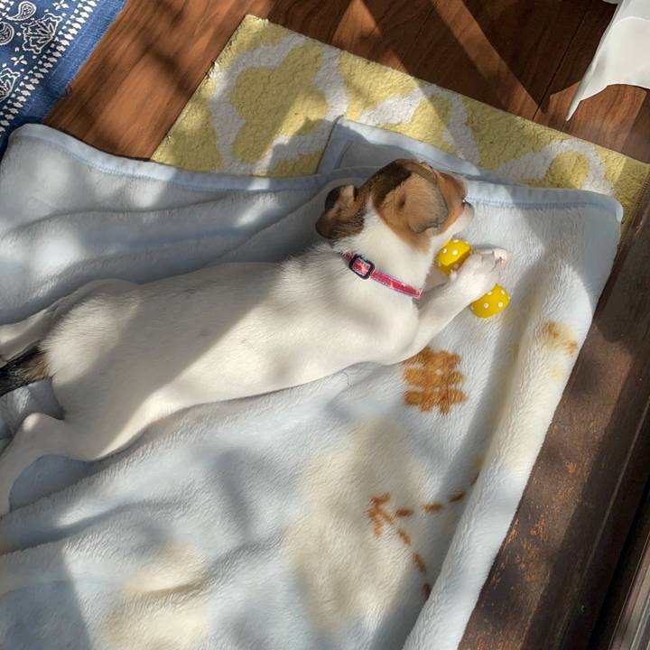 52d122f5 1c86 4be4 acd3 f501db8403e4 1667053461270