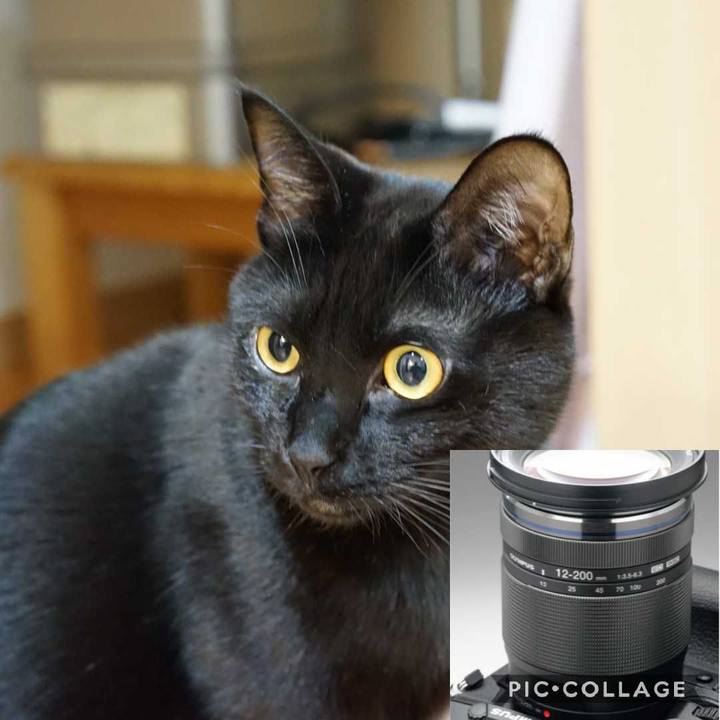 52d1379b 9f28 4131 a61d 53dff1f2b955 1550888370503