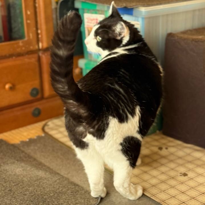 52d141d1 47c2 4dda 999a c9aba0d9d241 1743990583324