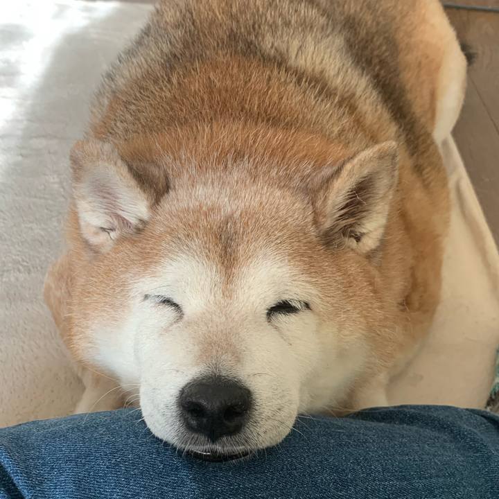 52d14e15 bf8d 4cb7 b6de c7b72ad47e63 1617434621745