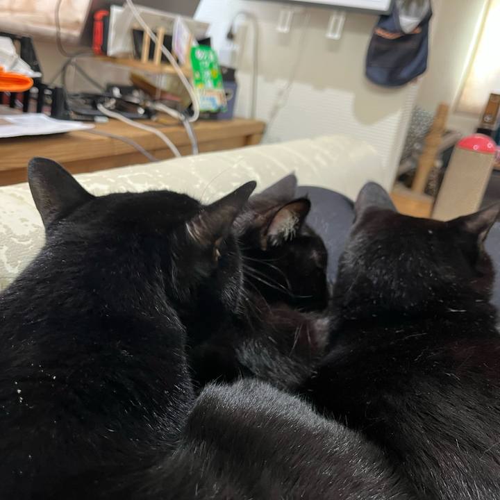 52d15fcd 64a9 4912 941e eb29d9fcf27a 1701571353978