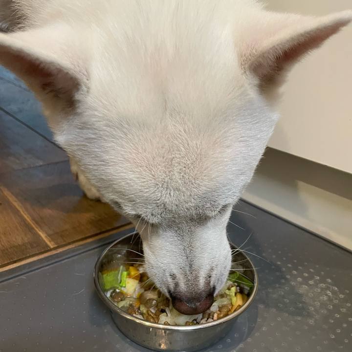 52d19081 64e2 46b2 86b7 43b1aabe10f9 1664967855949