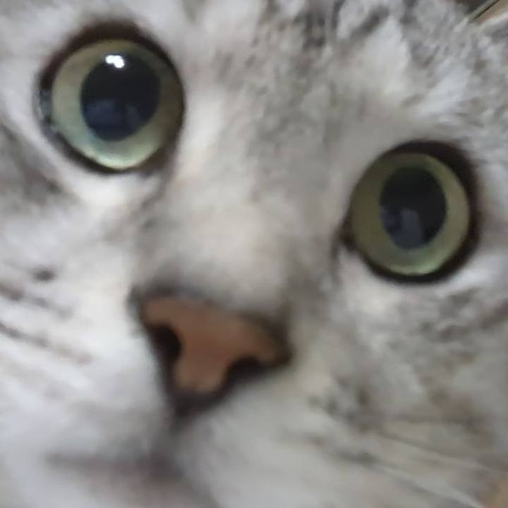 52d1a68f 8f2c 4588 9905 21d45a527a4a 1712940303601