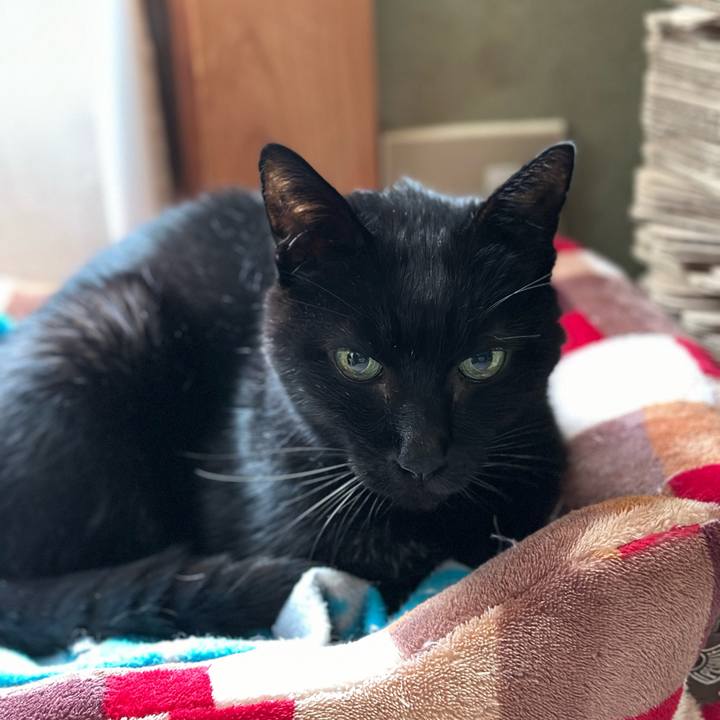 52d1e2dd fb6a 4abc bdbb d5c7c592c324 1701826839724