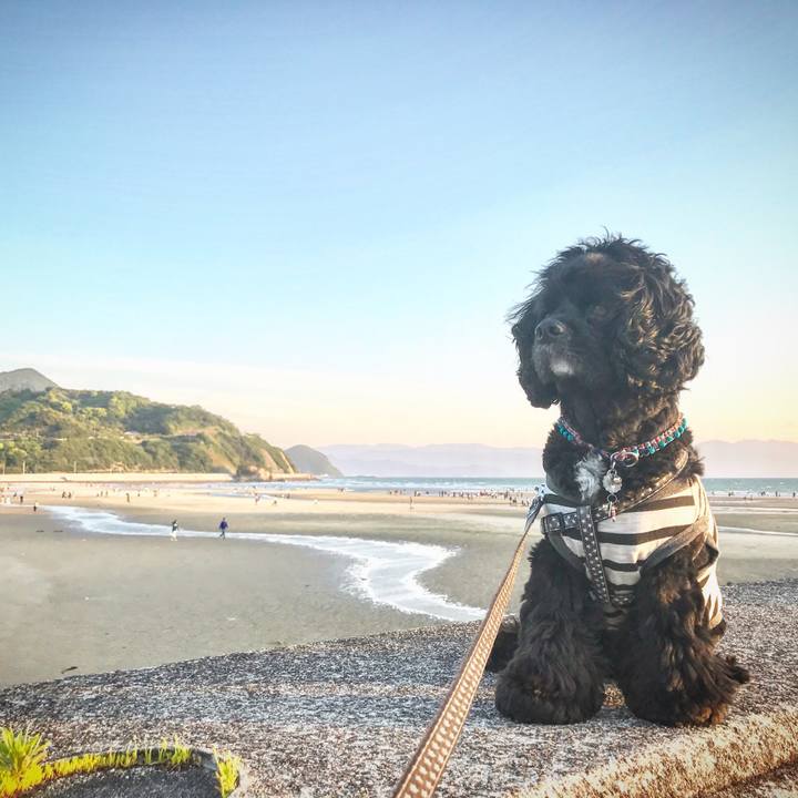 52d1e3bf 3b9a 4e88 a550 7299dab865ae 1525856668171