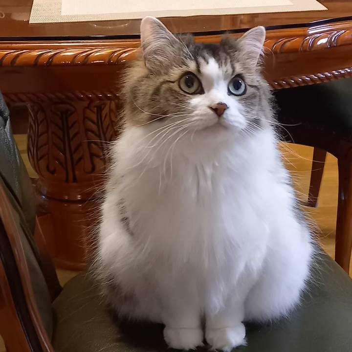 52d1e678 42ab 421f ad2c 57f2af834b6b 1641466274320