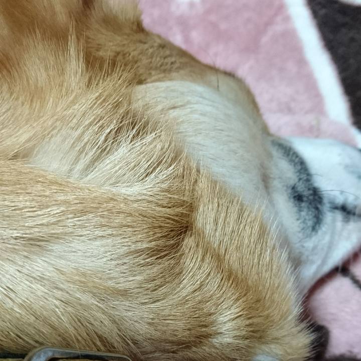 52d1f513 2899 4426 b729 c8ddfcbb4129 1577756770281