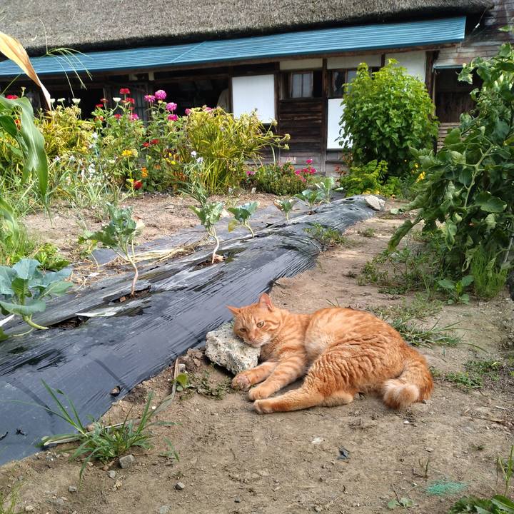 52d25ac8 2d46 4156 aa51 3f6baad05b8d 1691883669088