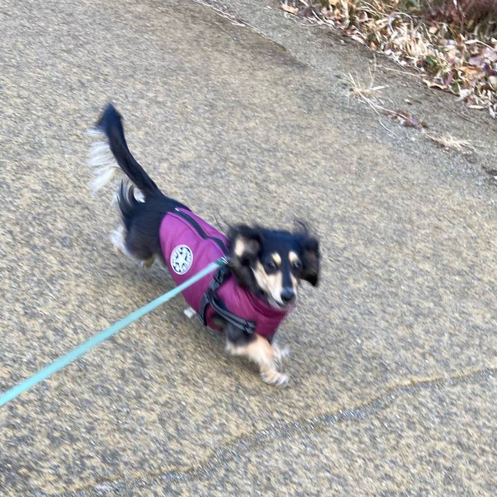 52d27470 62cf 42be 96da 9bdc3ad64d8b 1738734377897