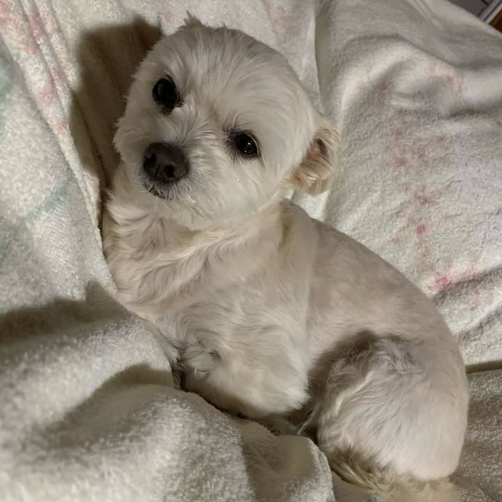 52d2962e 0c02 48b5 a844 1363d3c6cb43 1619350061375