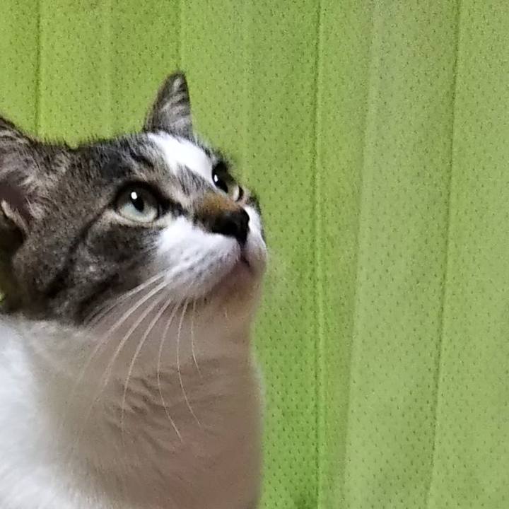 52d29f0b b333 4a85 8a05 6817b2578f59 1614060483568