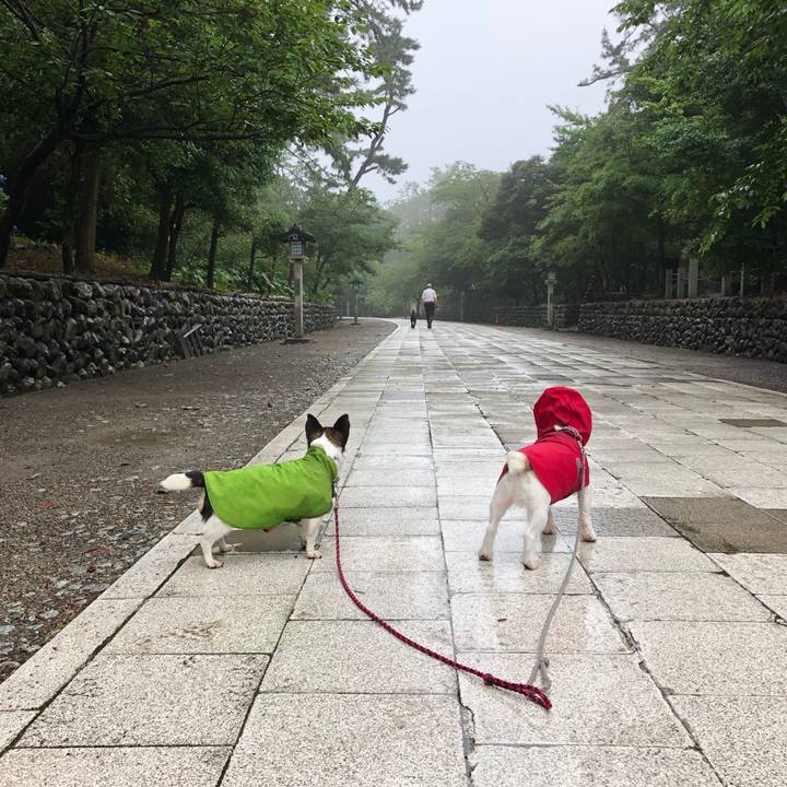 52d2b23d 7820 4786 853b 09ba0ac12dd4 1562194365422