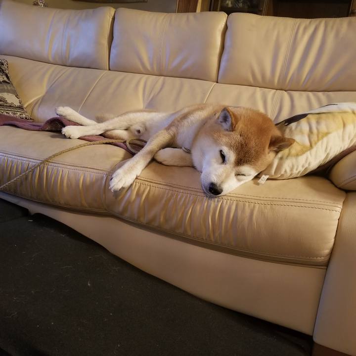 52d2e784 0406 4153 a8d9 2cd78314418b 1703158244418