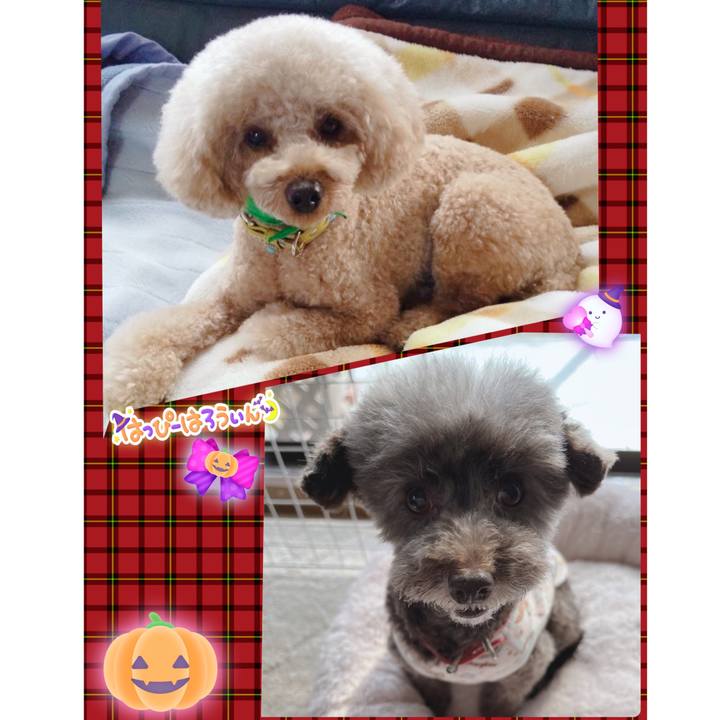 52d2f734 54e6 4421 93e8 20bd1cc0b168 1666852949234