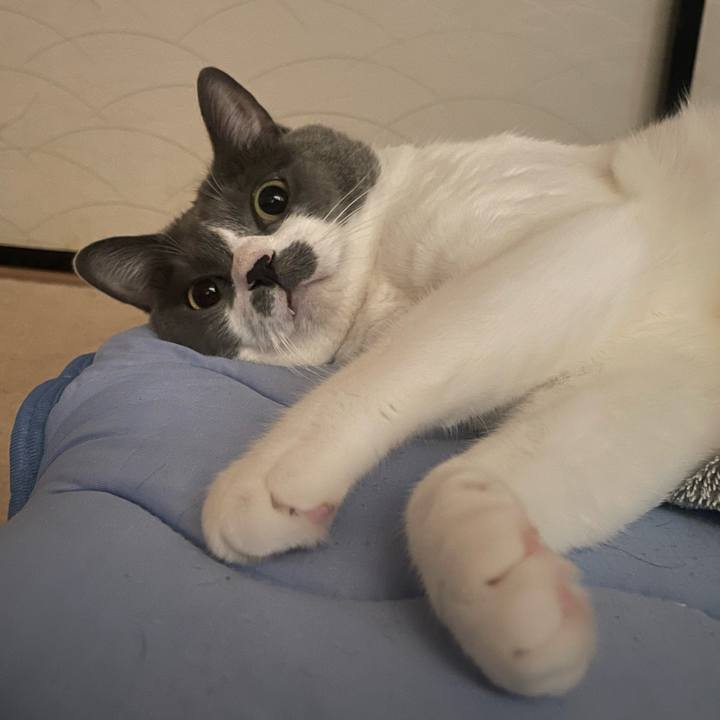 52d30fe0 c735 4723 b707 73405f11ebe7 1729724187558