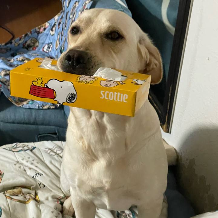 52d321c9 c053 4883 9592 1eb6ed5c2aa0 1645578352261