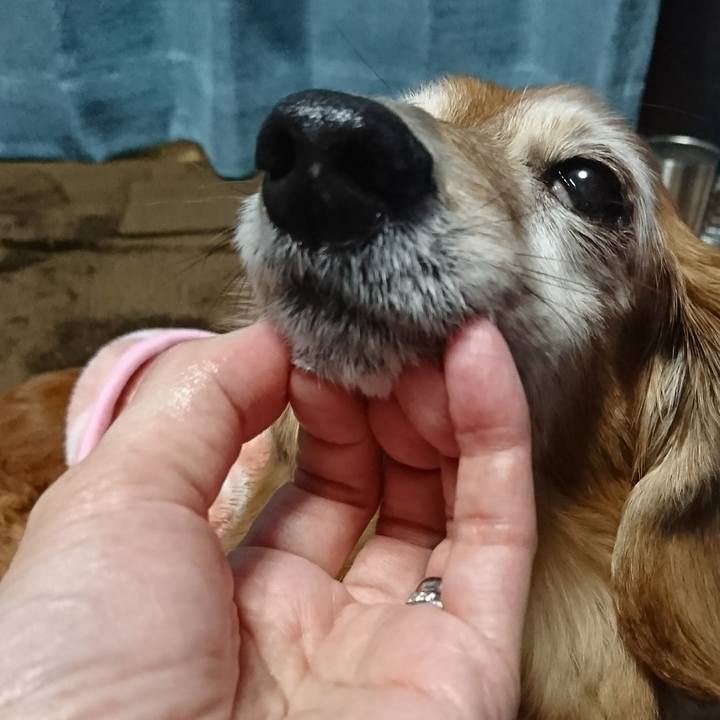 52d37c93 74d4 4208 acbf c73d81678644 1517563341879