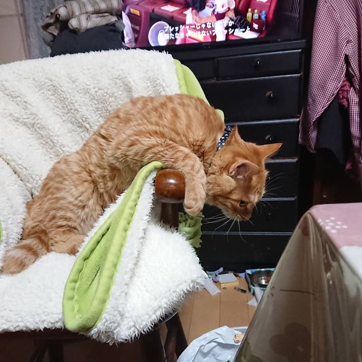 52d38986 e24e 4f2b 81af 6165547f2849 1638792105494