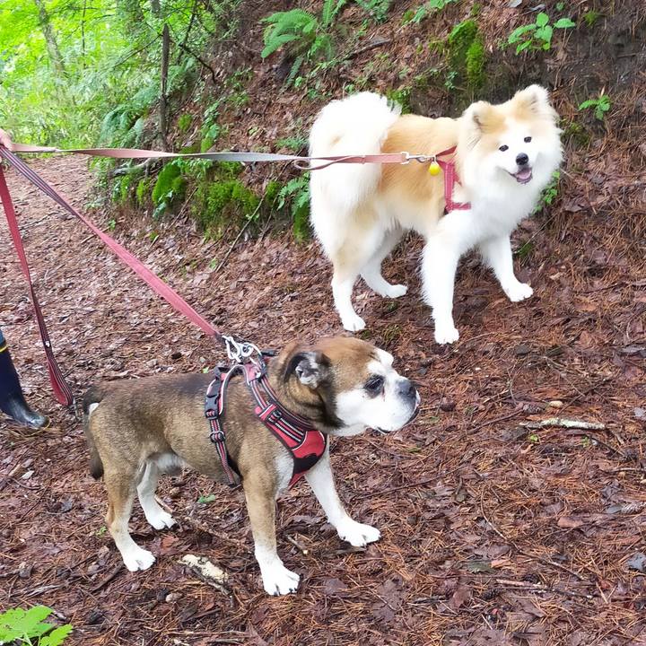 52d3a3d6 e6d2 4624 9371 15bad0548a6f 1660306626312