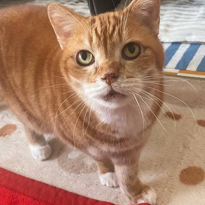 52d3afb8 887f 40a6 aa66 fbf57a87b598 1742451879848