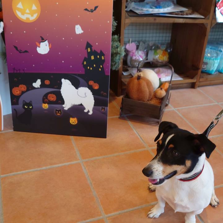 52d3ee52 7290 4ace 8a4f 6e2e48c1bd2e 1697894182740