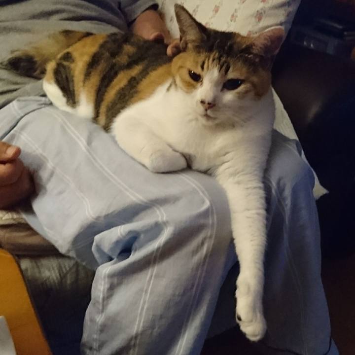 52d3f444 82ac 42ab b2e9 487304b78cd6 1566395637632