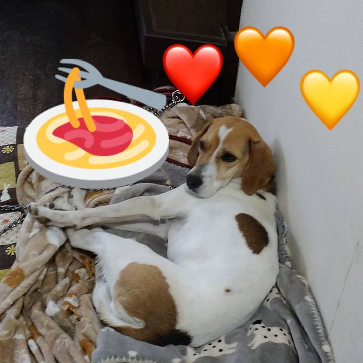 52d402a6 5227 4512 ac7b 8129d9c72224 1585719250234