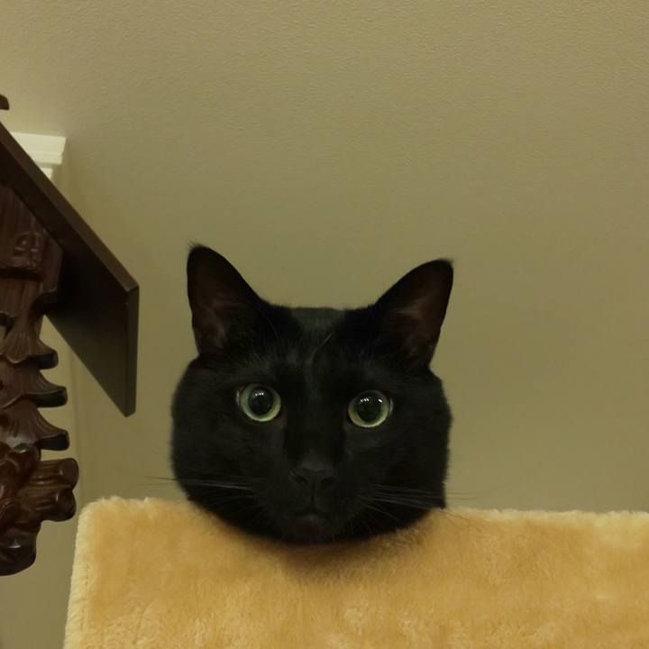 52d43304 20c0 4242 baa5 96797b66a44e 1598364852319