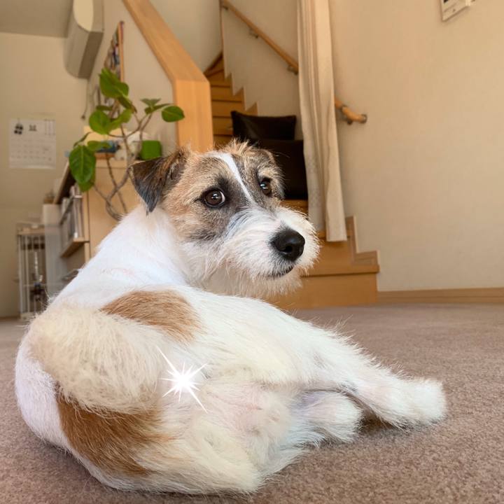 52d49292 a38e 4168 8574 0449346c7ed4 1572855199741