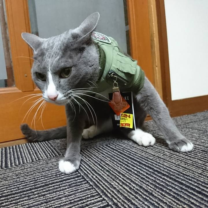 52d49bce 753c 43a7 bae3 a001015a7fe7 1514102751445